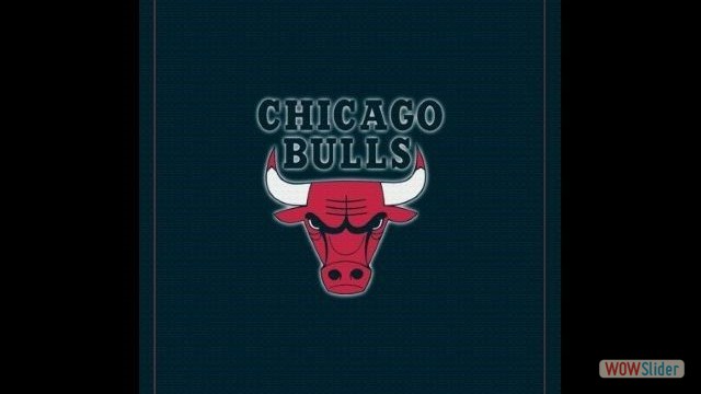 bulls_3